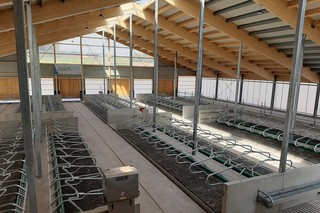 Neubau eines Milchviehlaufstalles in Herzogenweiler