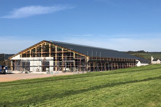 Neubau eines Milchviehlaufstalles in Dachsberg