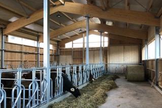 Neubau eines Milchviehlaufstalles in Tennenbronn